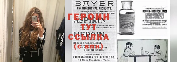 индика Вязьма