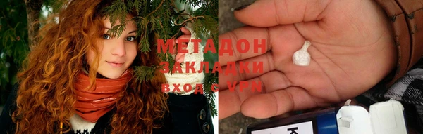 индика Вязьма