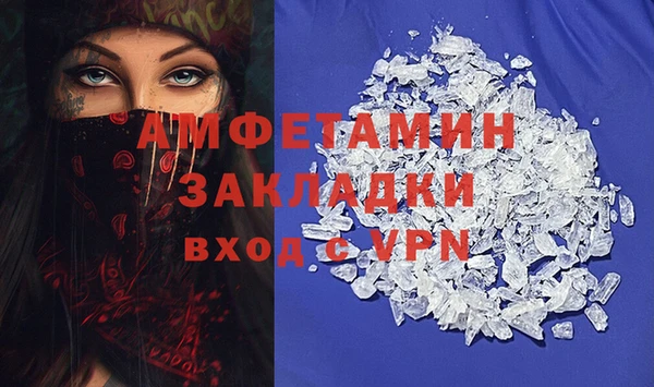 индика Вязьма