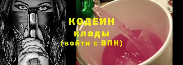 индика Вязьма