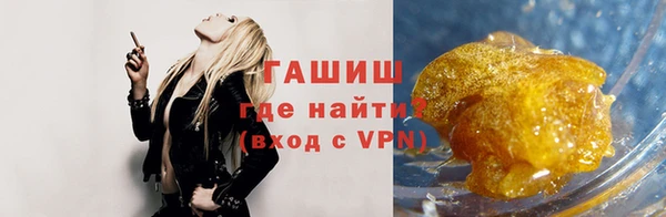 индика Вязьма