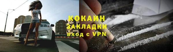 индика Вязьма