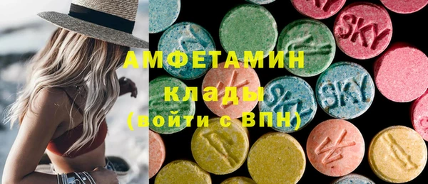 индика Вязьма