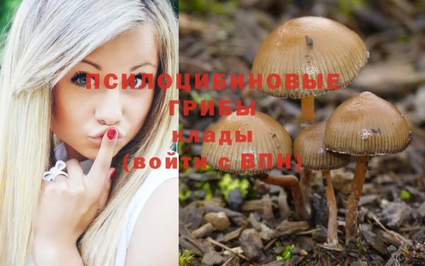мет Вяземский