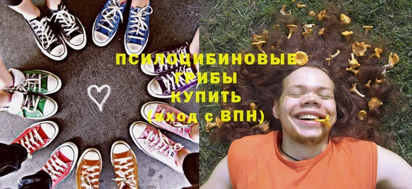 мет Вяземский