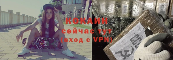 индика Вязьма