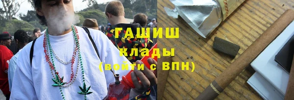 индика Вязьма