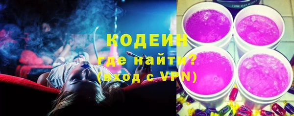 индика Вязьма