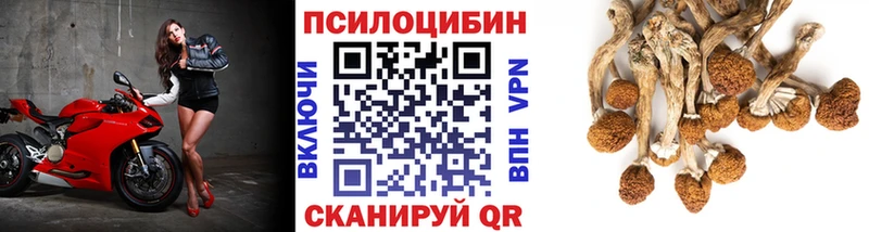 Галлюциногенные грибы прущие грибы  Нерюнгри 