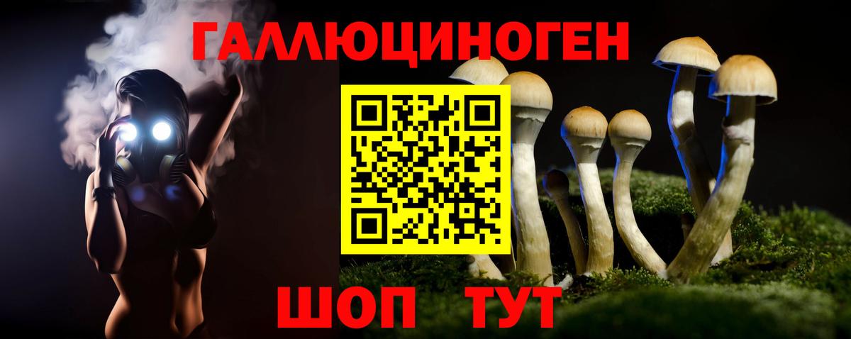 где найти   Галлюциногенные грибы Psilocybine cubensis  Вход с VPN  Нерюнгри 